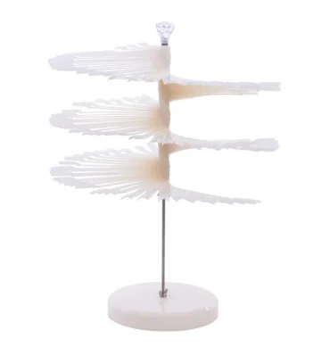 Display vrtuljak Milky - 120 kom. – prikaz 2