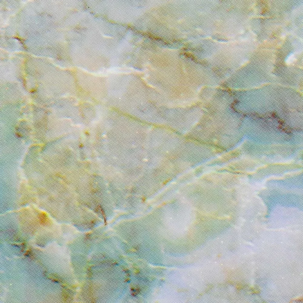 Transferna folija Marble – prikaz 2
