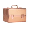 Kozmetički kofer Rose Gold 2 M