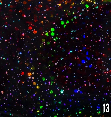 Transferna folija Holographic