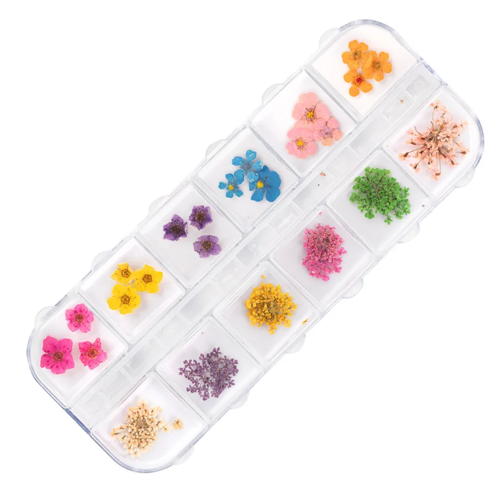 Suho cvijeće za nail art Box, 36 kom - Slika 2