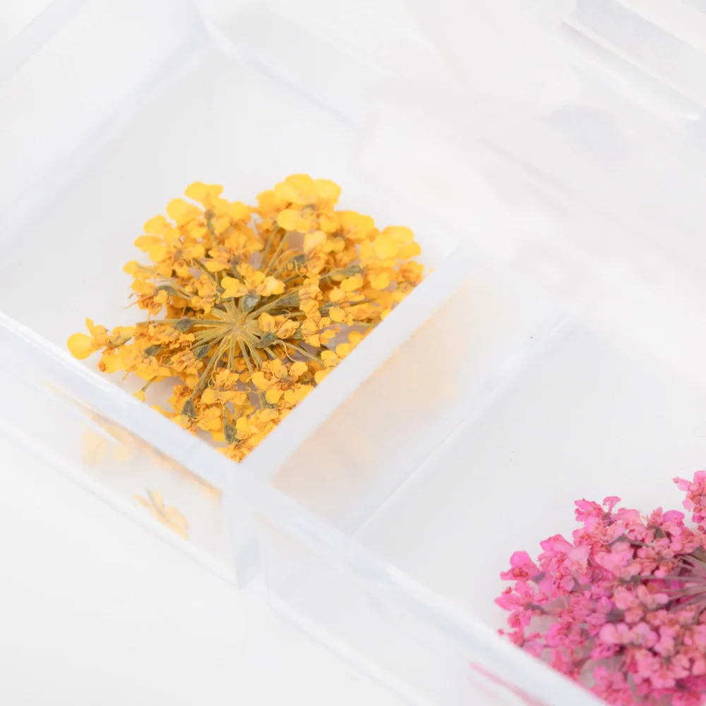 Suho cvijeće za nail art Box, 36 kom - Slika 4