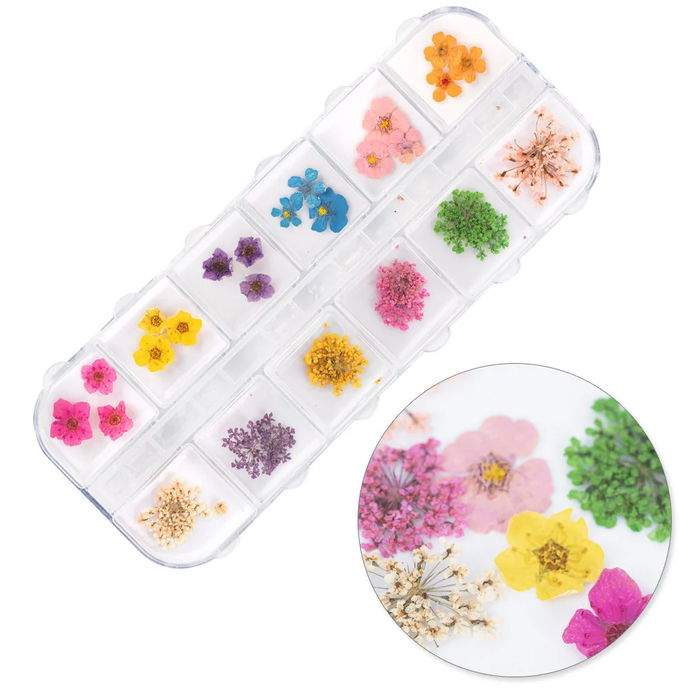 Suho cvijeće za nail art Box, 36 kom