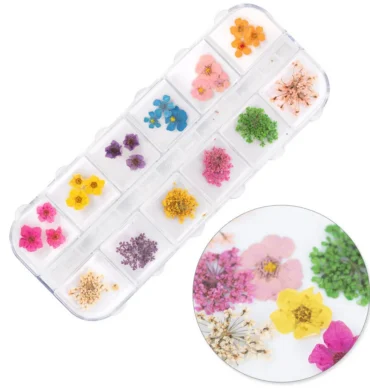 Suho cvijeće za nail art Box, 36 kom