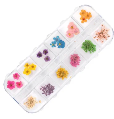 Suho cvijeće za nail art Box, 36 kom – prikaz 2